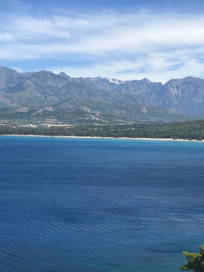 Duplex Renove Les Pieds Dans L'Eau Apartment Calvi  Ngoại thất bức ảnh